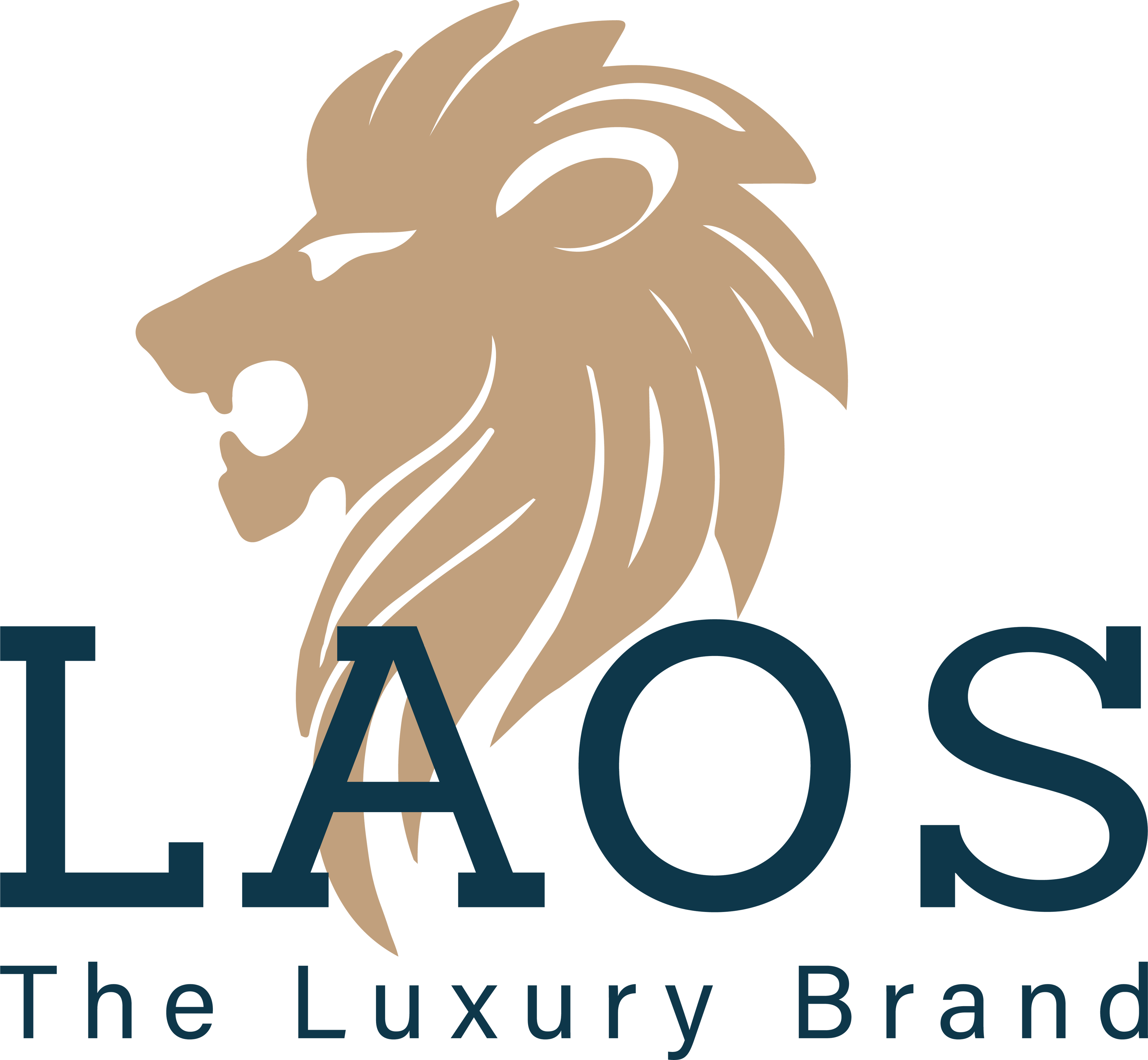 LAOS